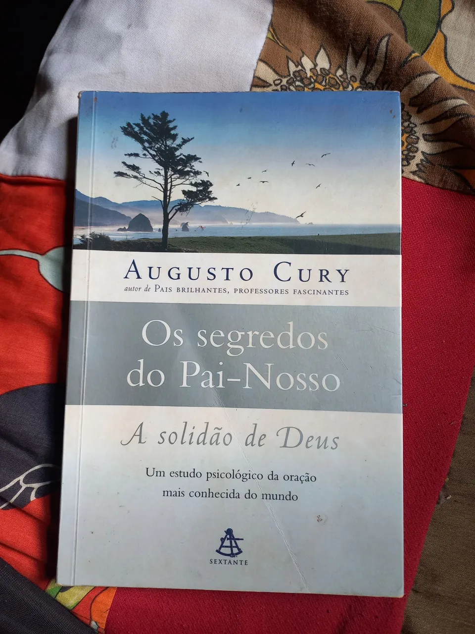 Livro Os Segredos do Pai-Nosso - Augusto Cury