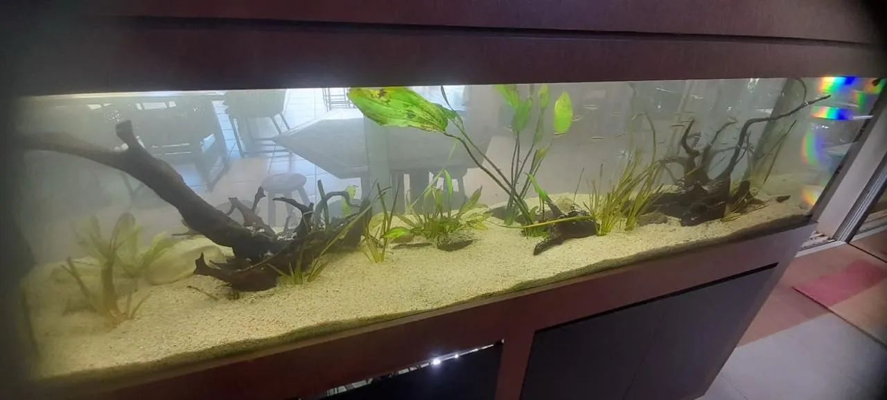 Aquário 200x50x60 com móvel e sump