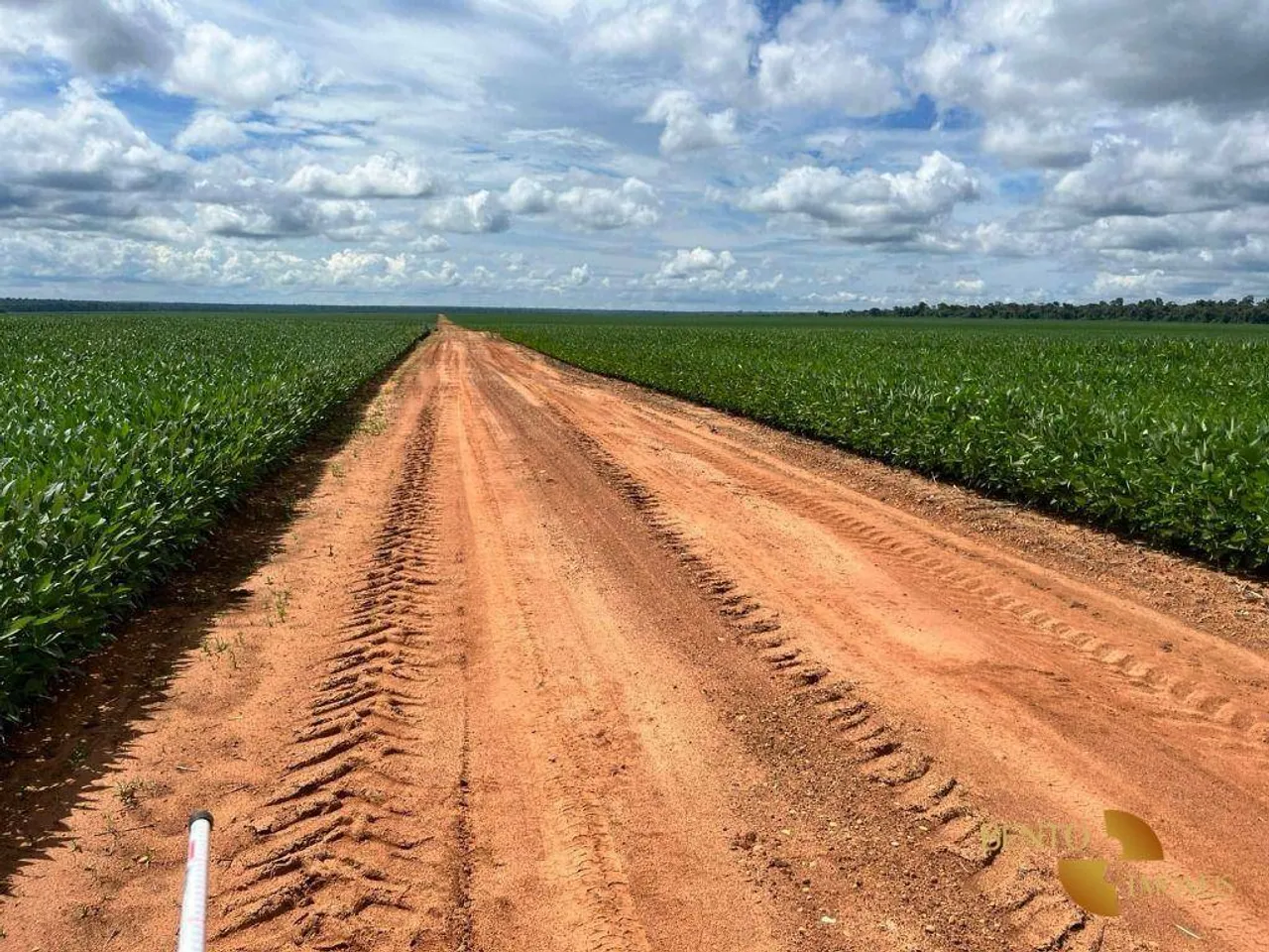 Fazenda com práticas agrícolas modernas.