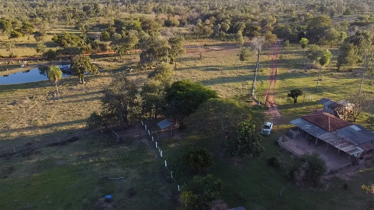 Chácara 61 hectares