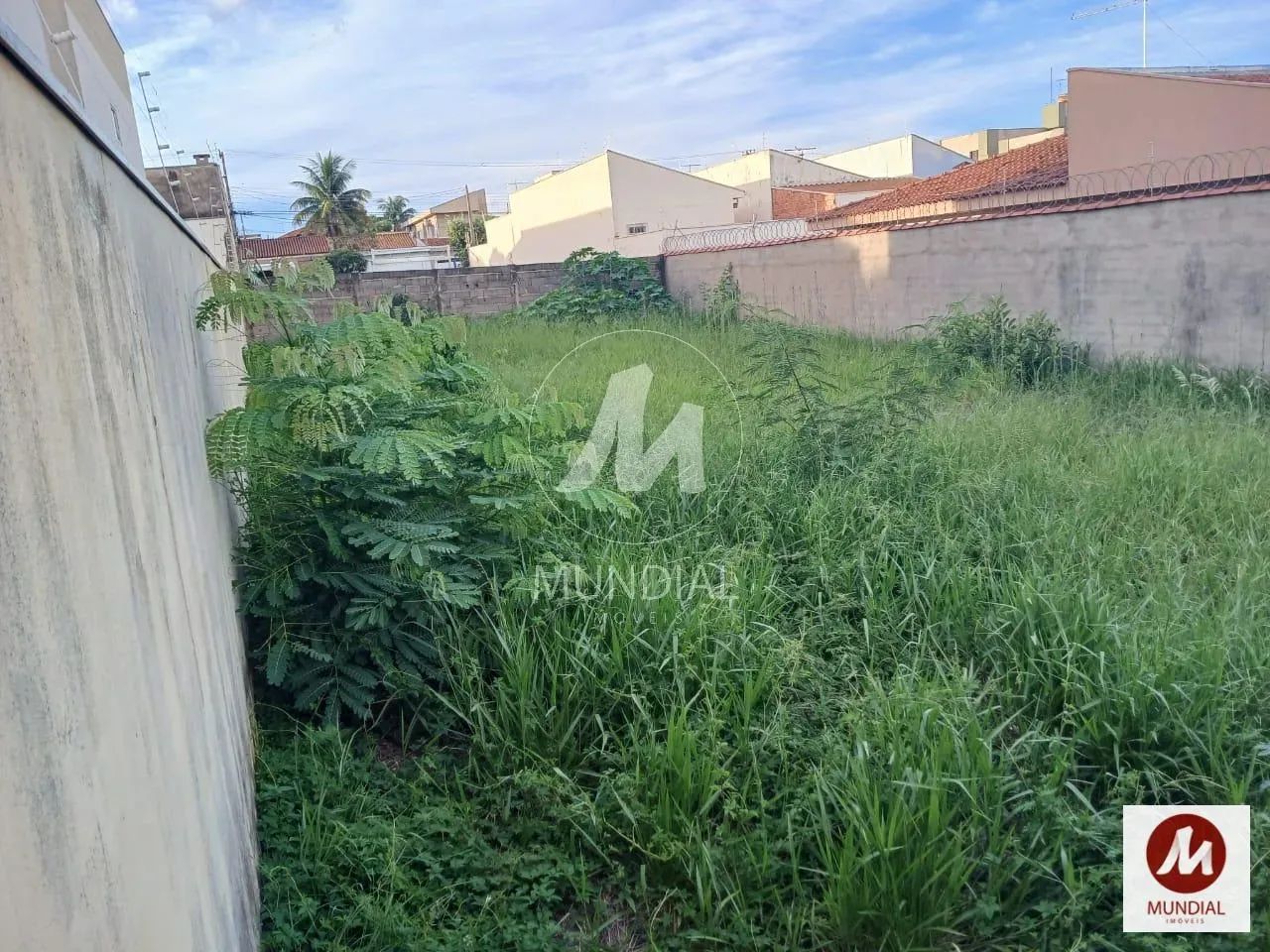 Terreno (terreno normal) - Foto 2