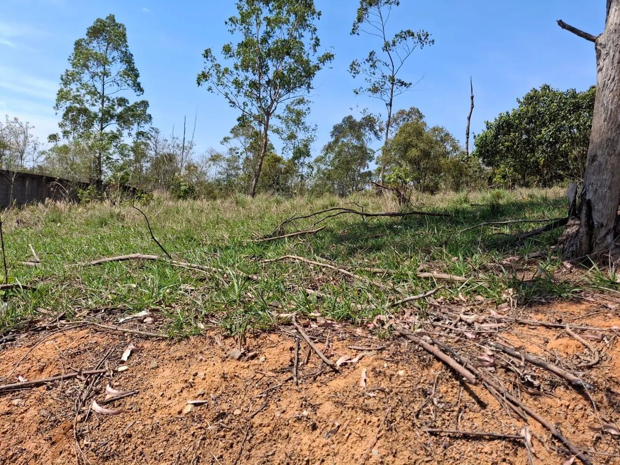 Terreno para chácara em Ferraz -vila Discansolandia - Foto 4