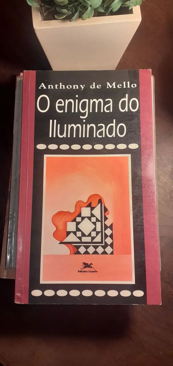Livro 'O enigma do iluminado' - Foto 2