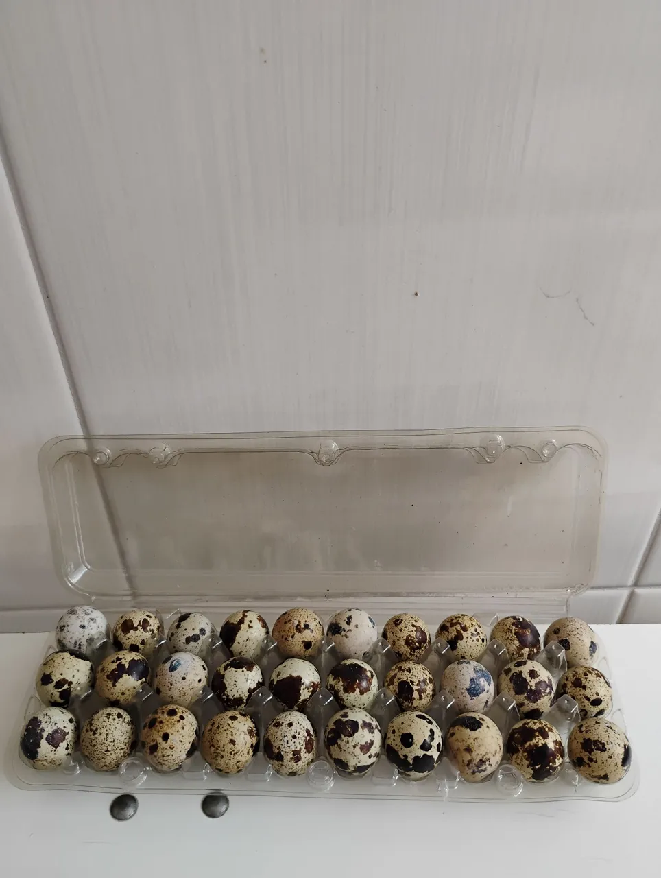 Ovos de codorna galados