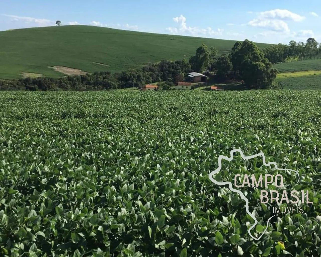 FAZENDA 1.238 HECTARES EM PIMENTA - MG ! - Foto 3