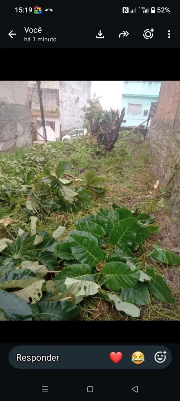 Vendo um terreno *11