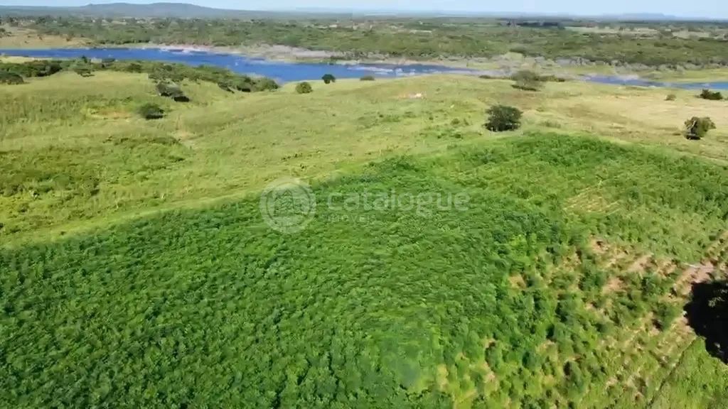 Fazenda em Poço Branco 239 ha - Foto 3