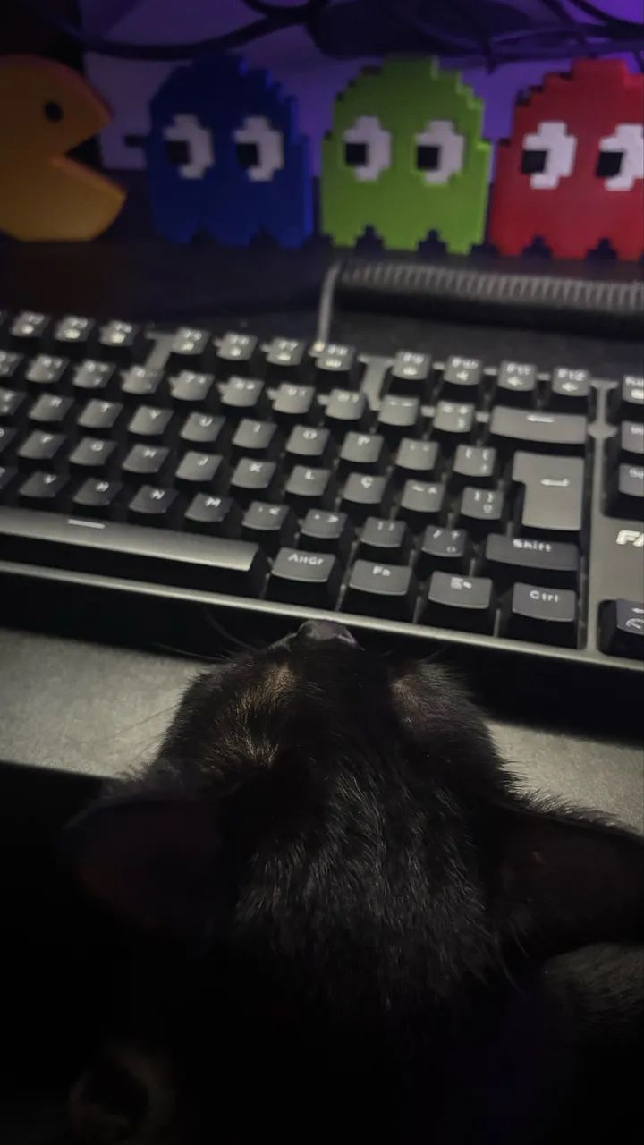 Teclado mecânico Fallen Pantera TKL - Foto 4