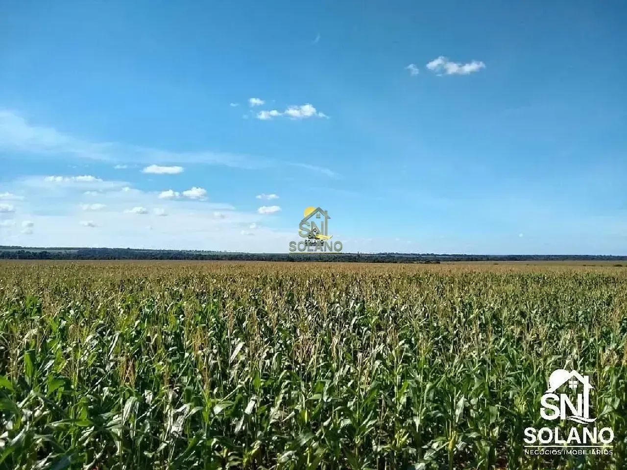 FAZENDA COM FABRICA DE ÓLEOS VEGETAIS EM NOVA MUTU/ MT. - Foto 2