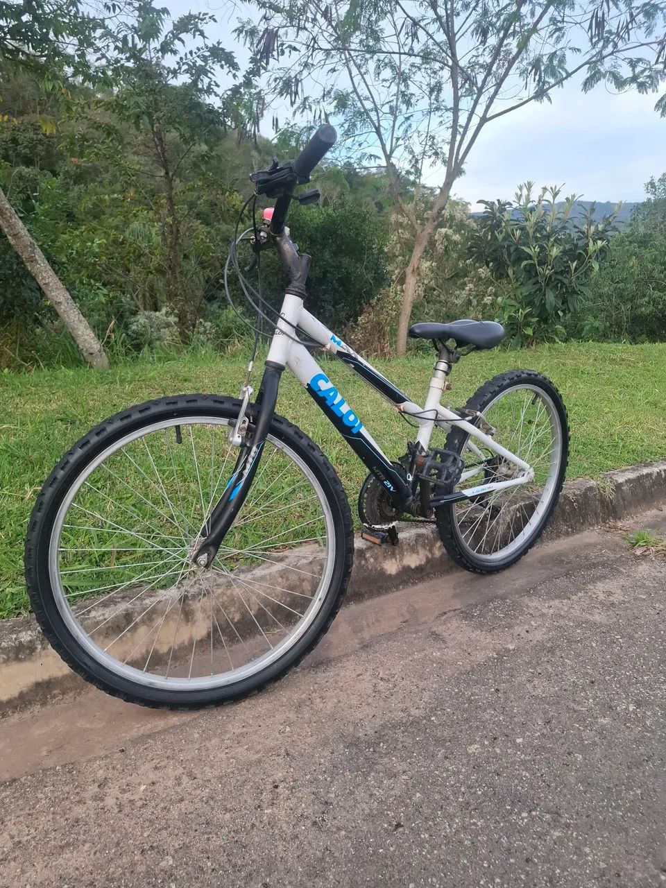 CALOI ARO 24  - Foto 4