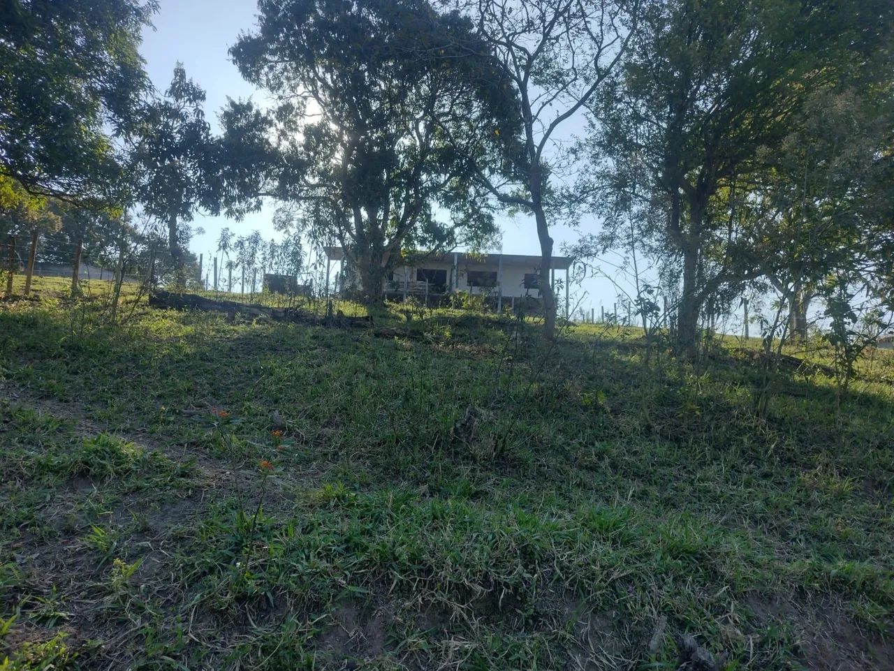 Vendo chácara  - Foto 5