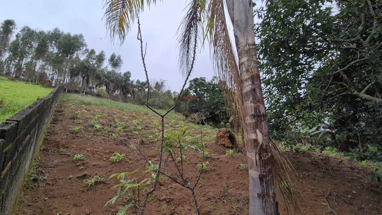 Lote / Terreno - Grama - Foto 2