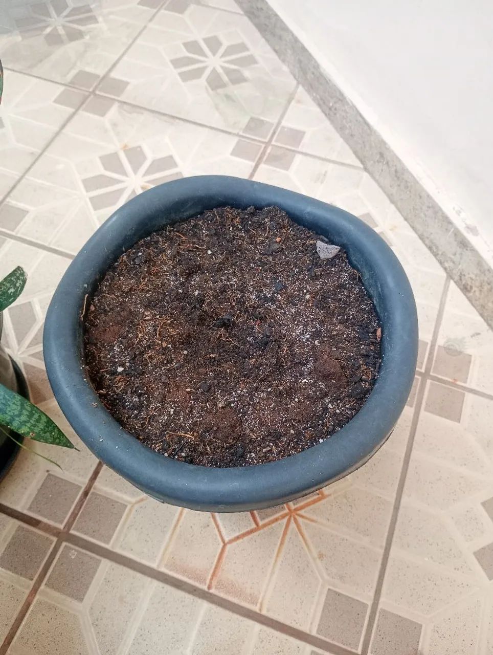 Vaso com terra pra planta - Foto 3