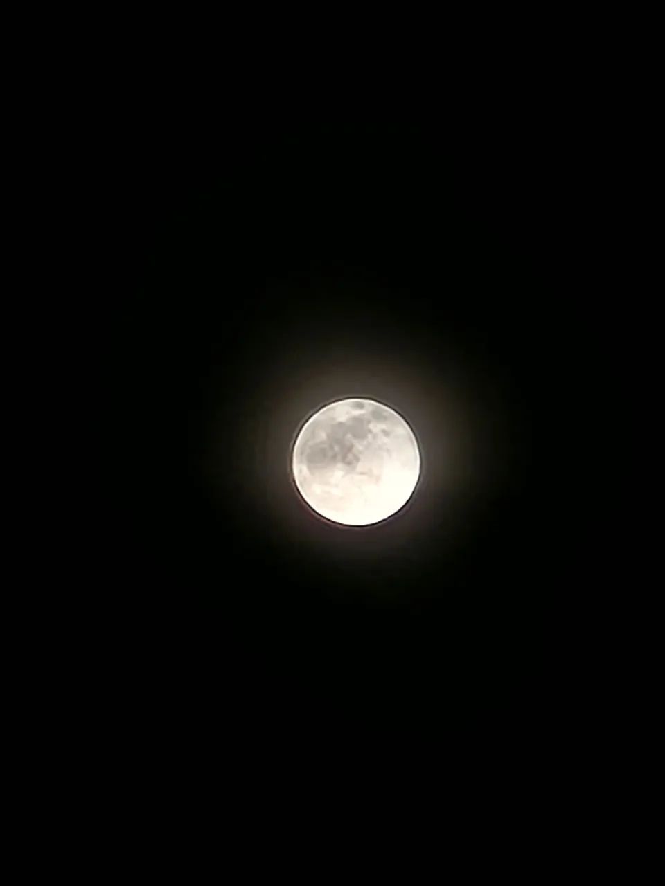 S22 256g - Foto 2