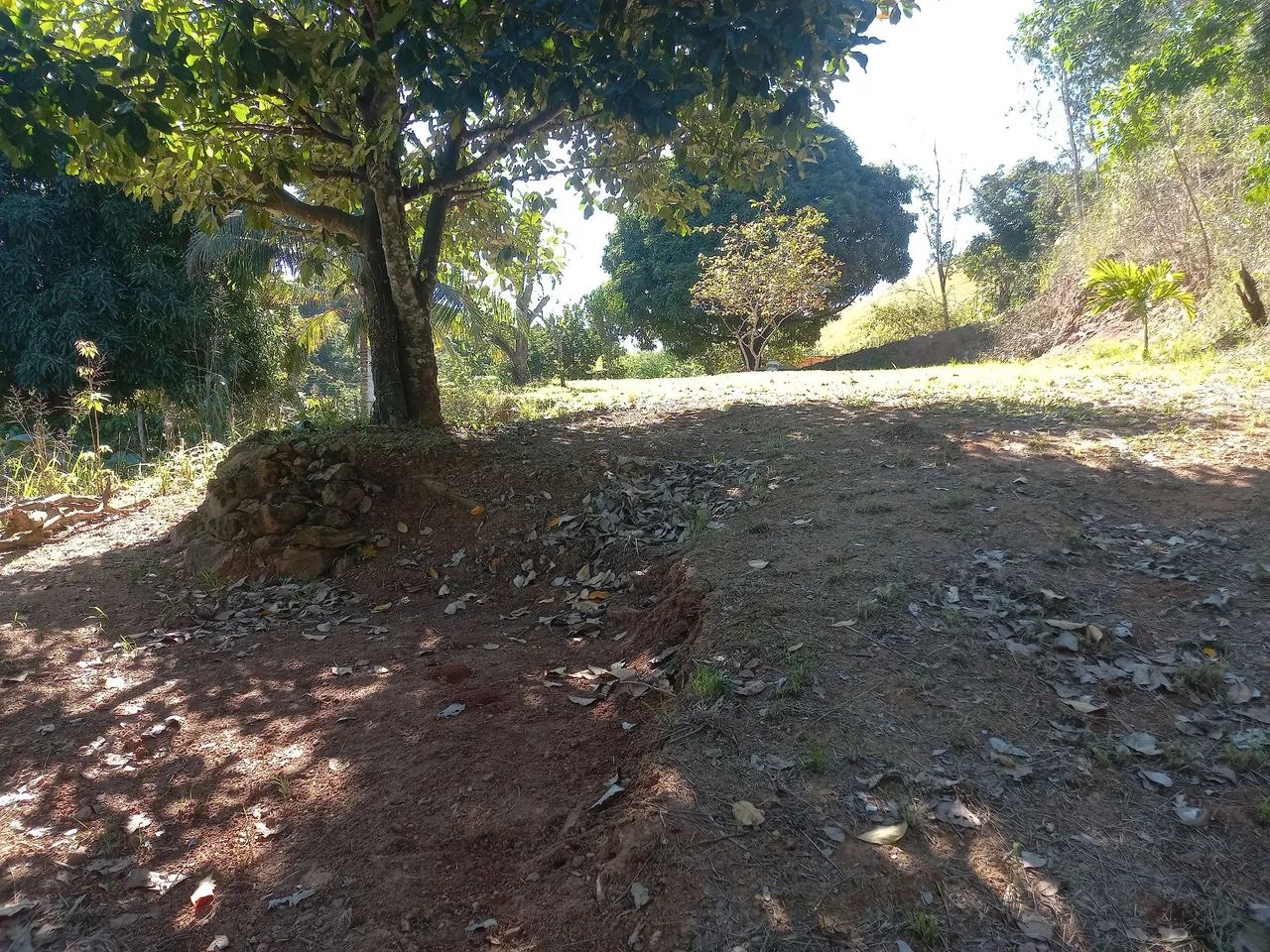 Terreno em Seropédica  - Foto 3