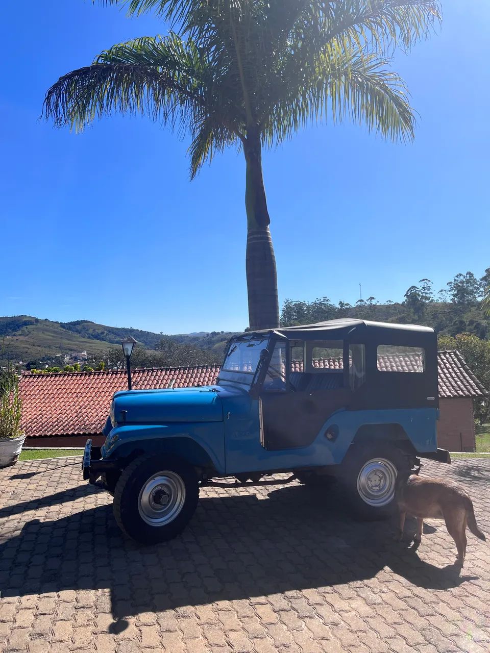 Ford Jeep Jeep 1976