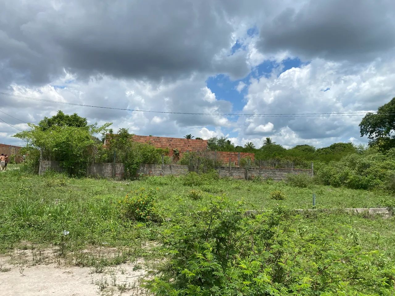 Foto - Feira de Santana - Asa Branca