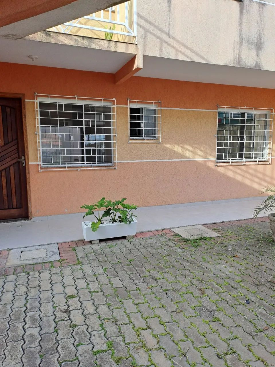 Foto - Fazenda Rio Grande - Eucaliptos