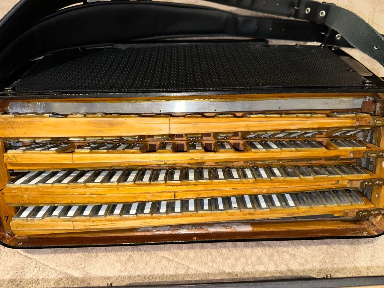 Acordeon - Foto 3