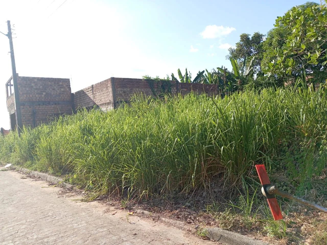 Casa com sobrado e ponto comercial  - Foto 2