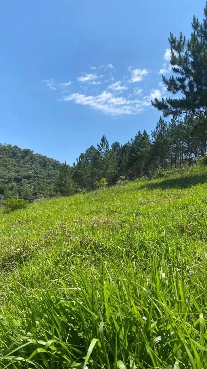 Terreno Amplo de 1000m² no Bairro Saboó  São Roque - Foto 10