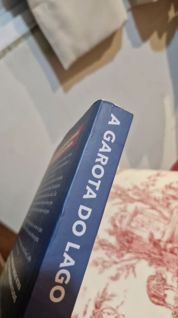A garota do lago - Foto 4