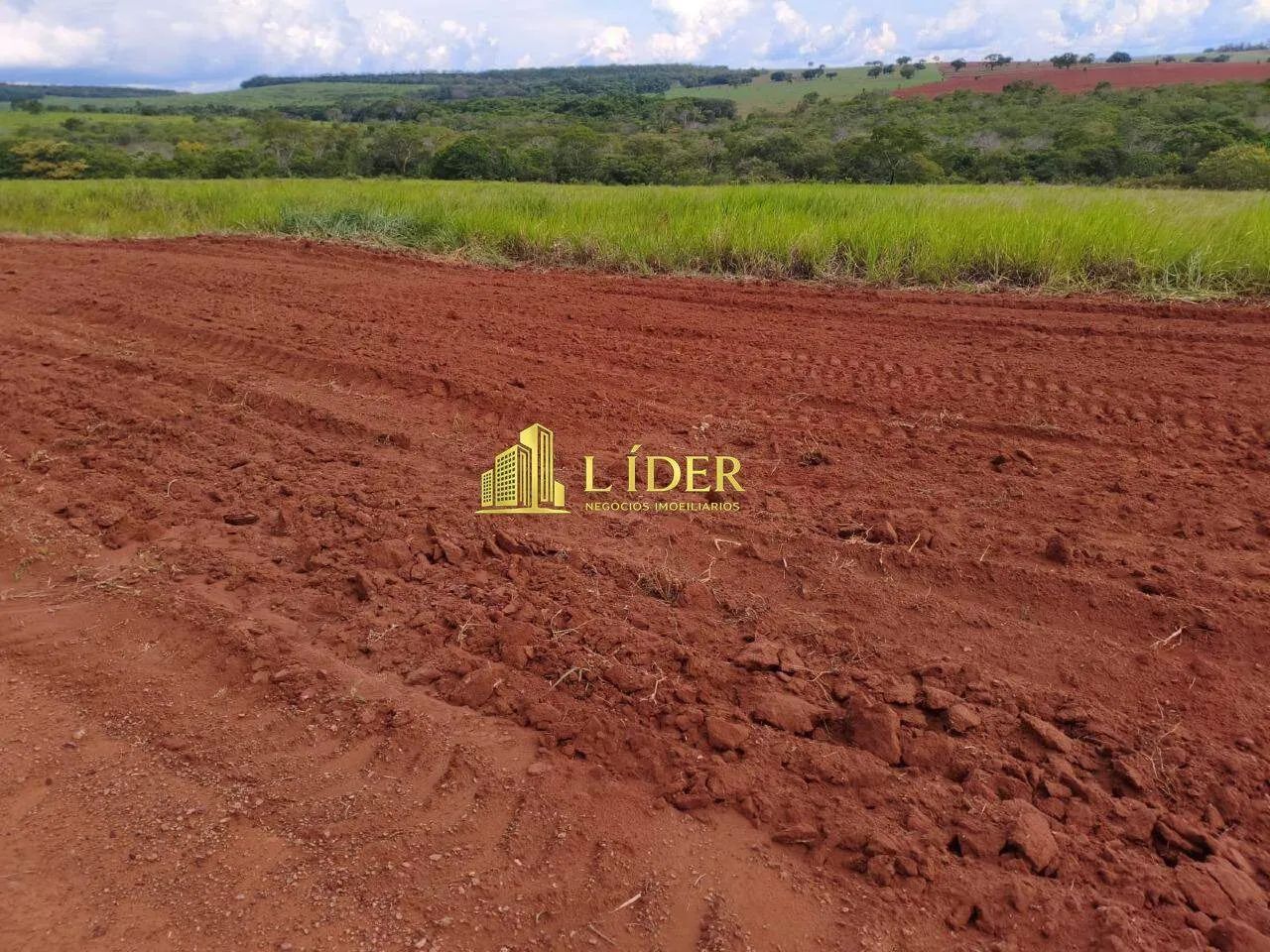 FAZENDA ÁREA RURAL RIO VERDE - MS - Foto 4