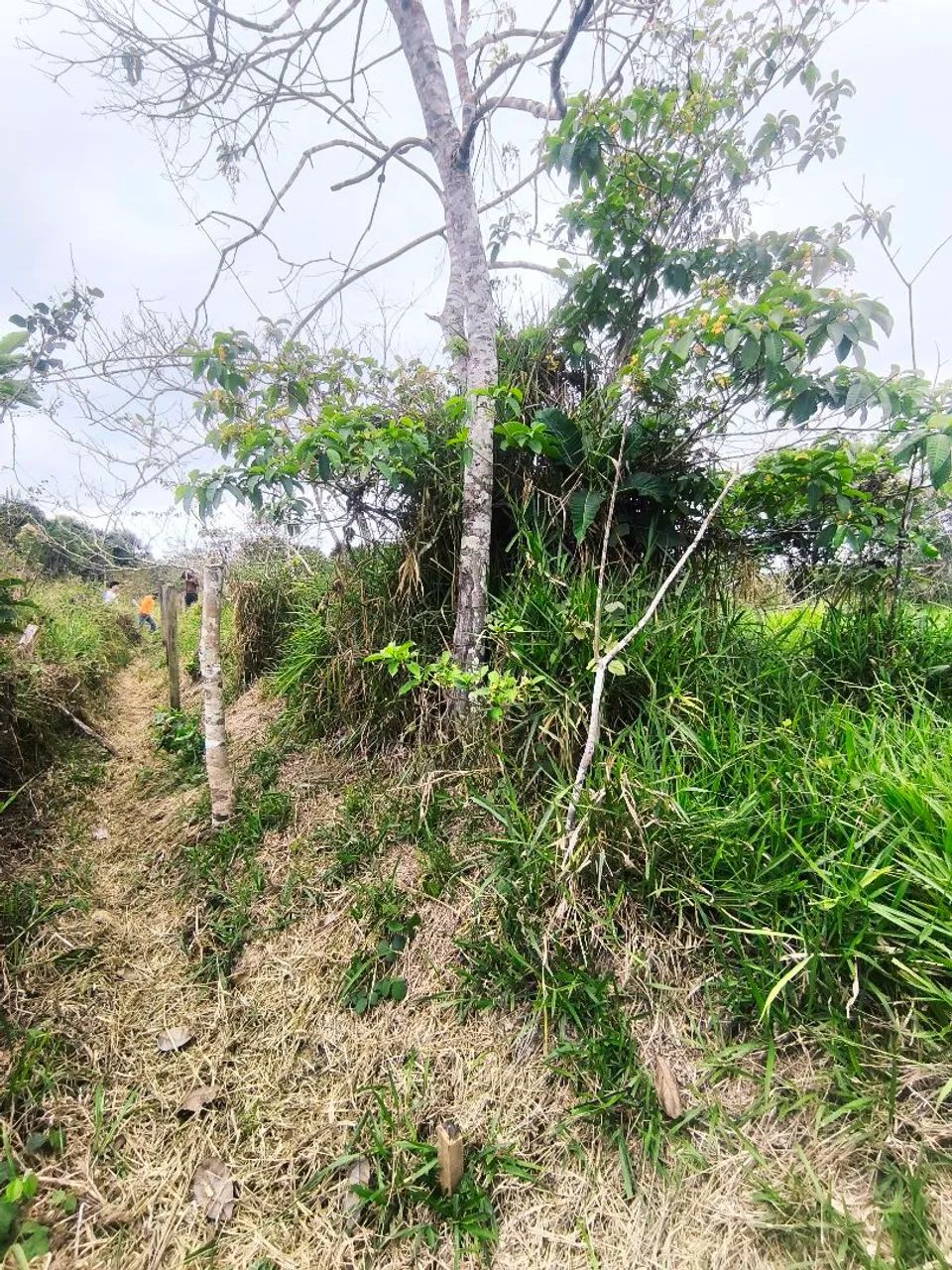 Terreno 10x30 - Foto 2