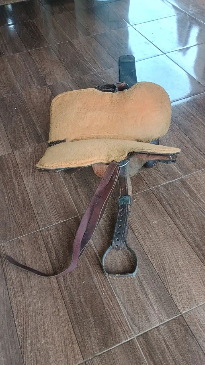 Cela profissional de laço  - Foto 2