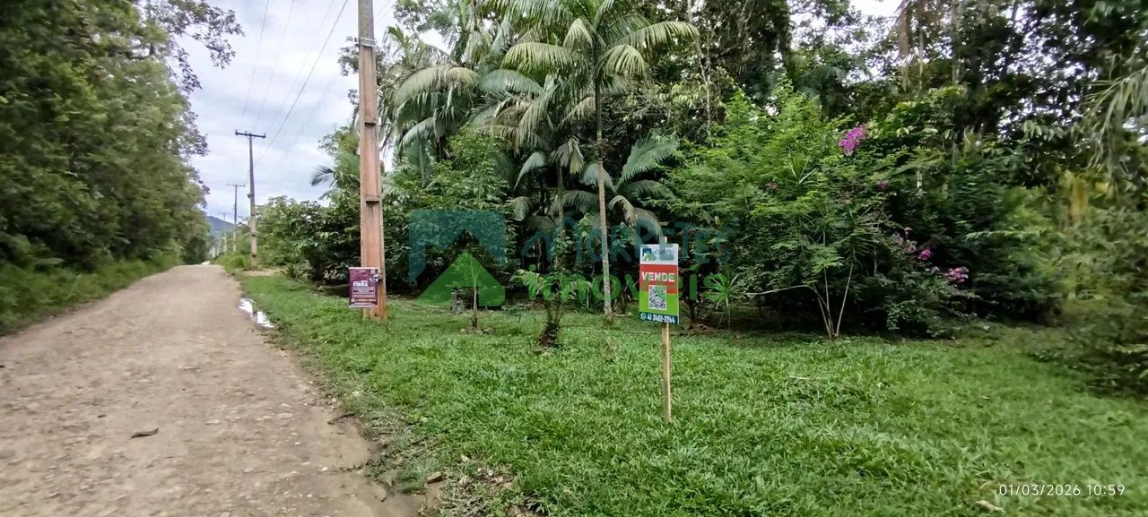 Lotes a Venda em Morretes - Foto 4