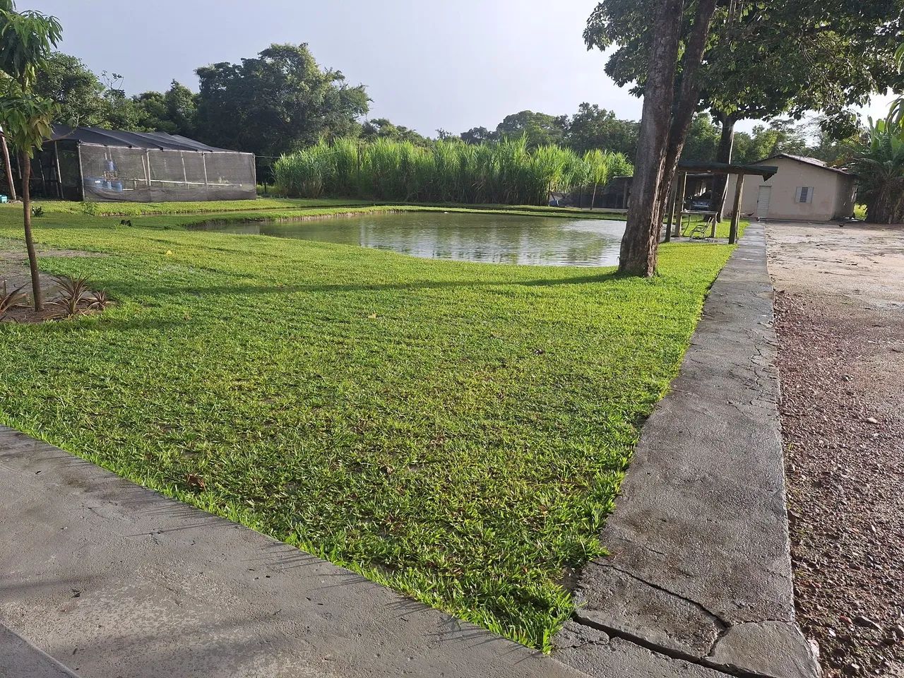 Chácara 1 Alqueire em Itapuranga