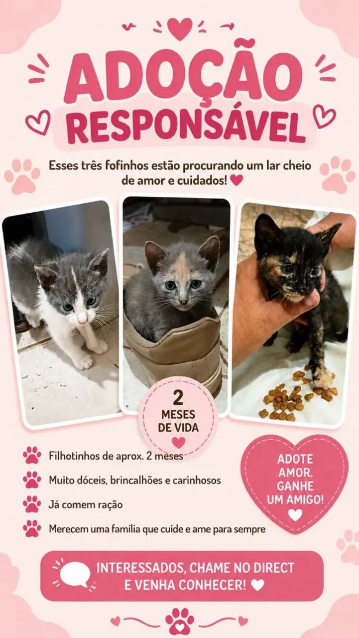 Doação 
