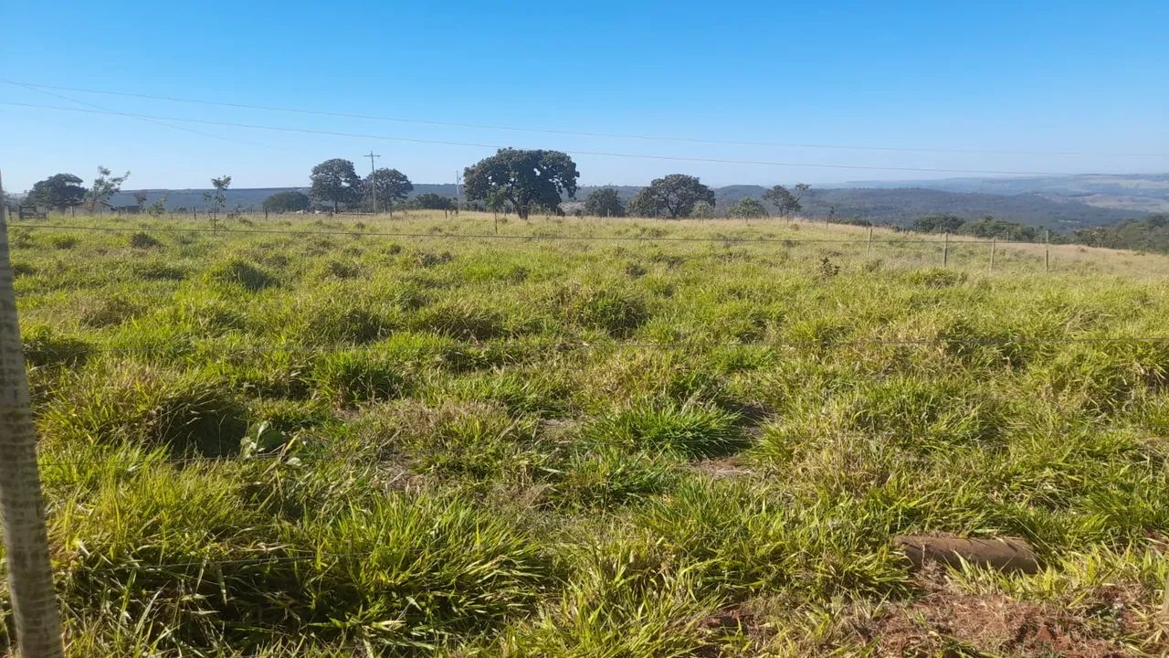 FAZENDA À VENDA EM ARAGUARI/MG - Foto 2