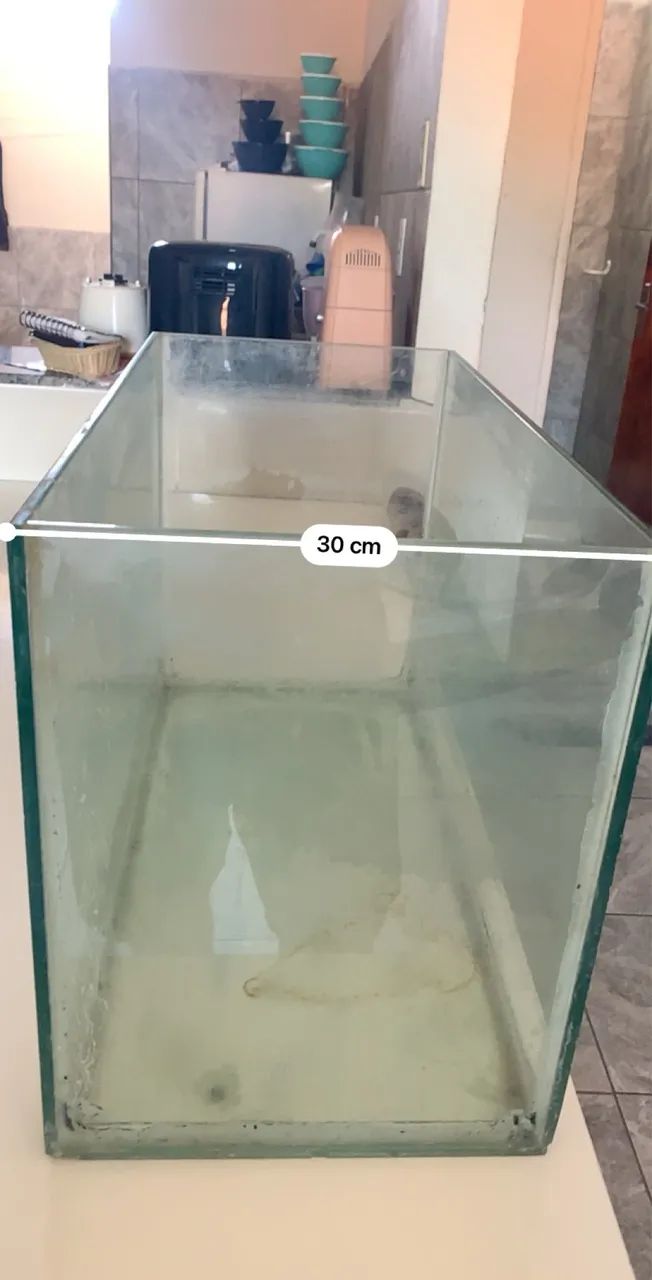 Aquário  - Foto 4