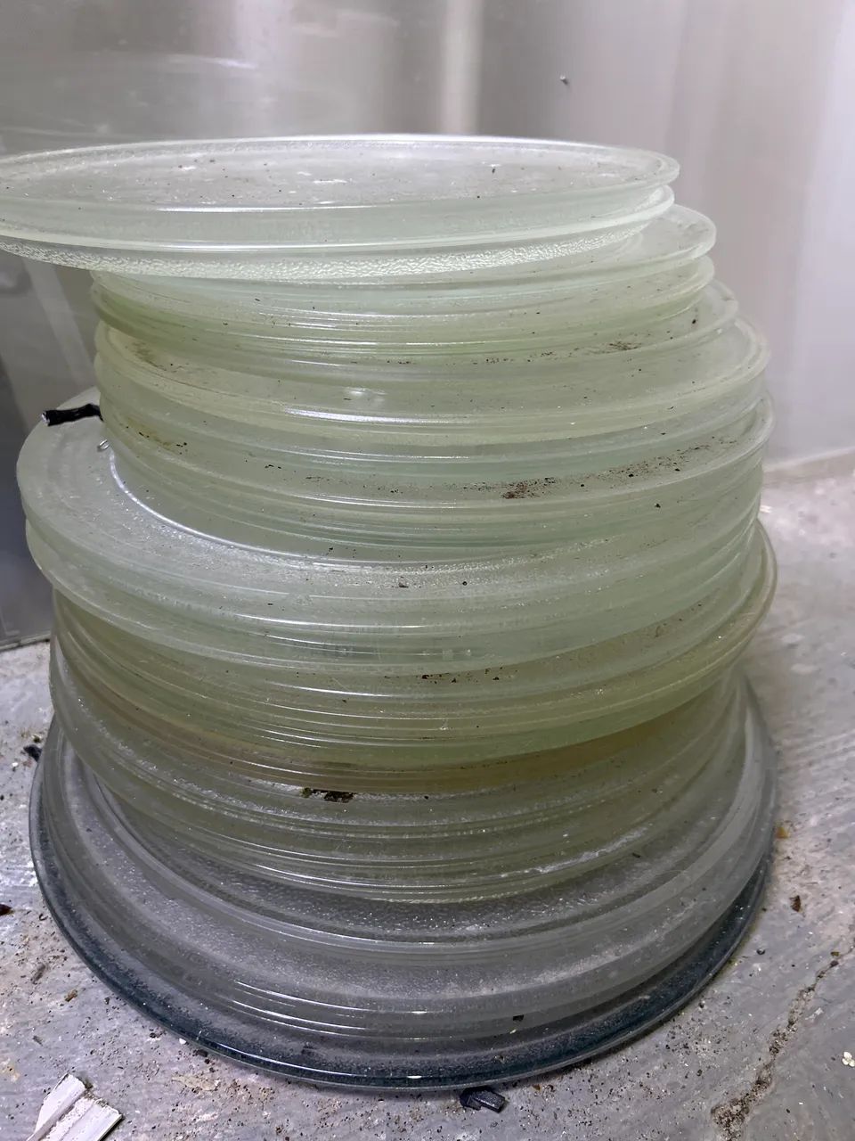 Lote prato de microondas 
