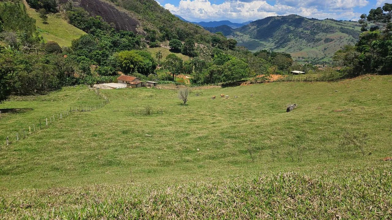 Terreno em cruz verá 