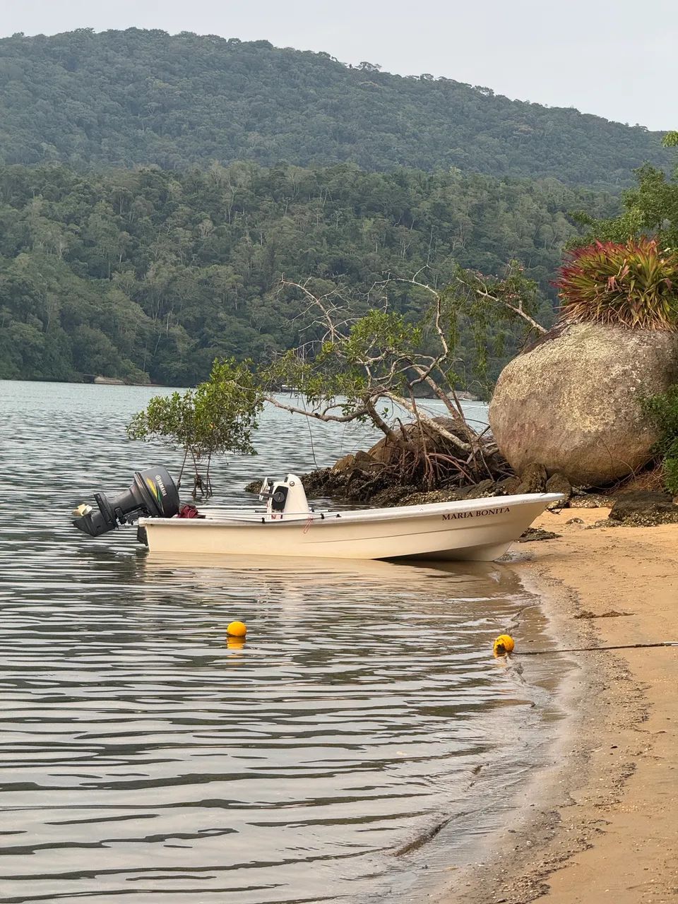 Panga 16 novissima com motor Yamaha 40 2 tempos - Foto 4