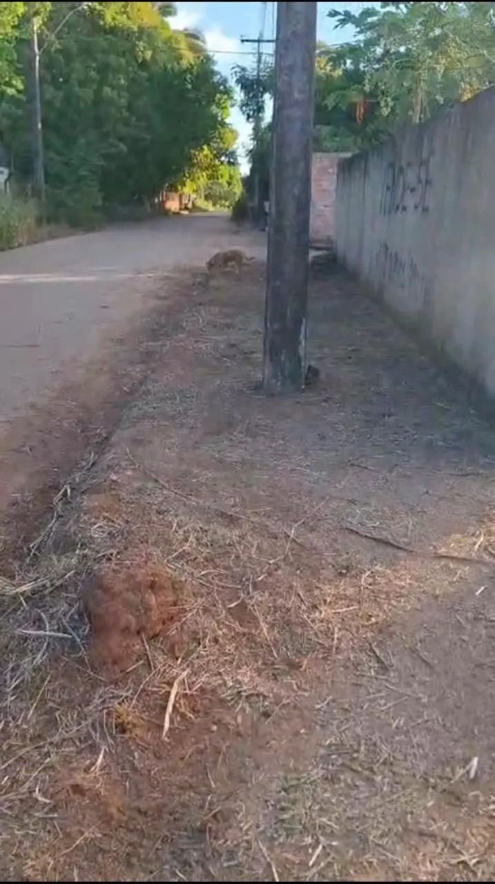 Terreno Bairro Nova Esperança - Foto 3