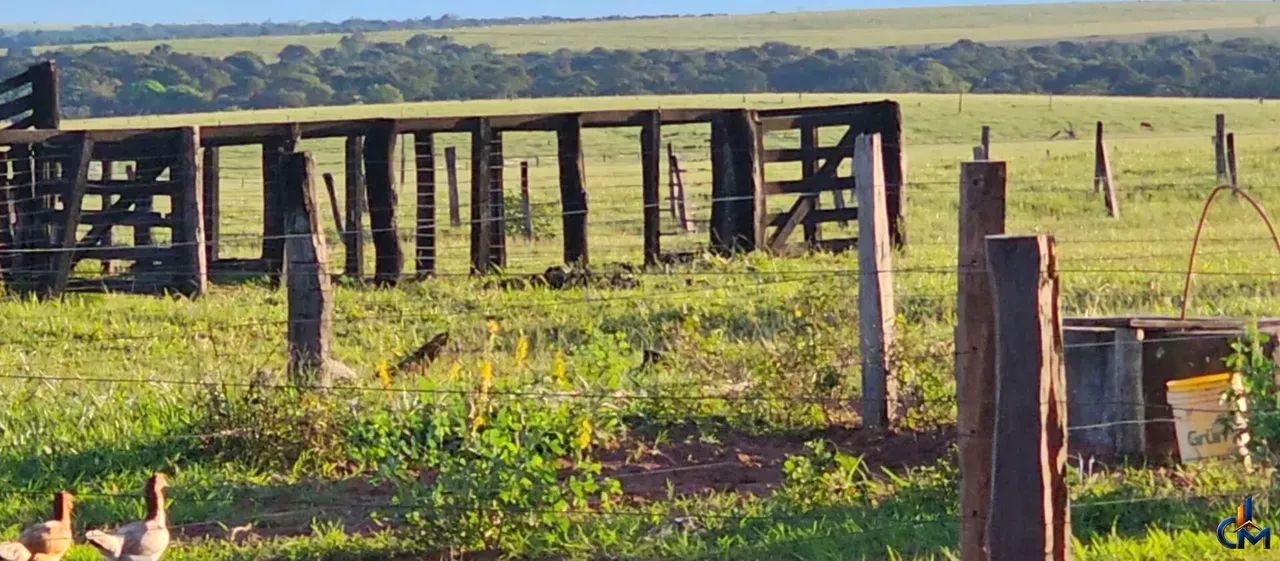 Fazenda a 125 km de Tangara da Serra/MT - Foto 4