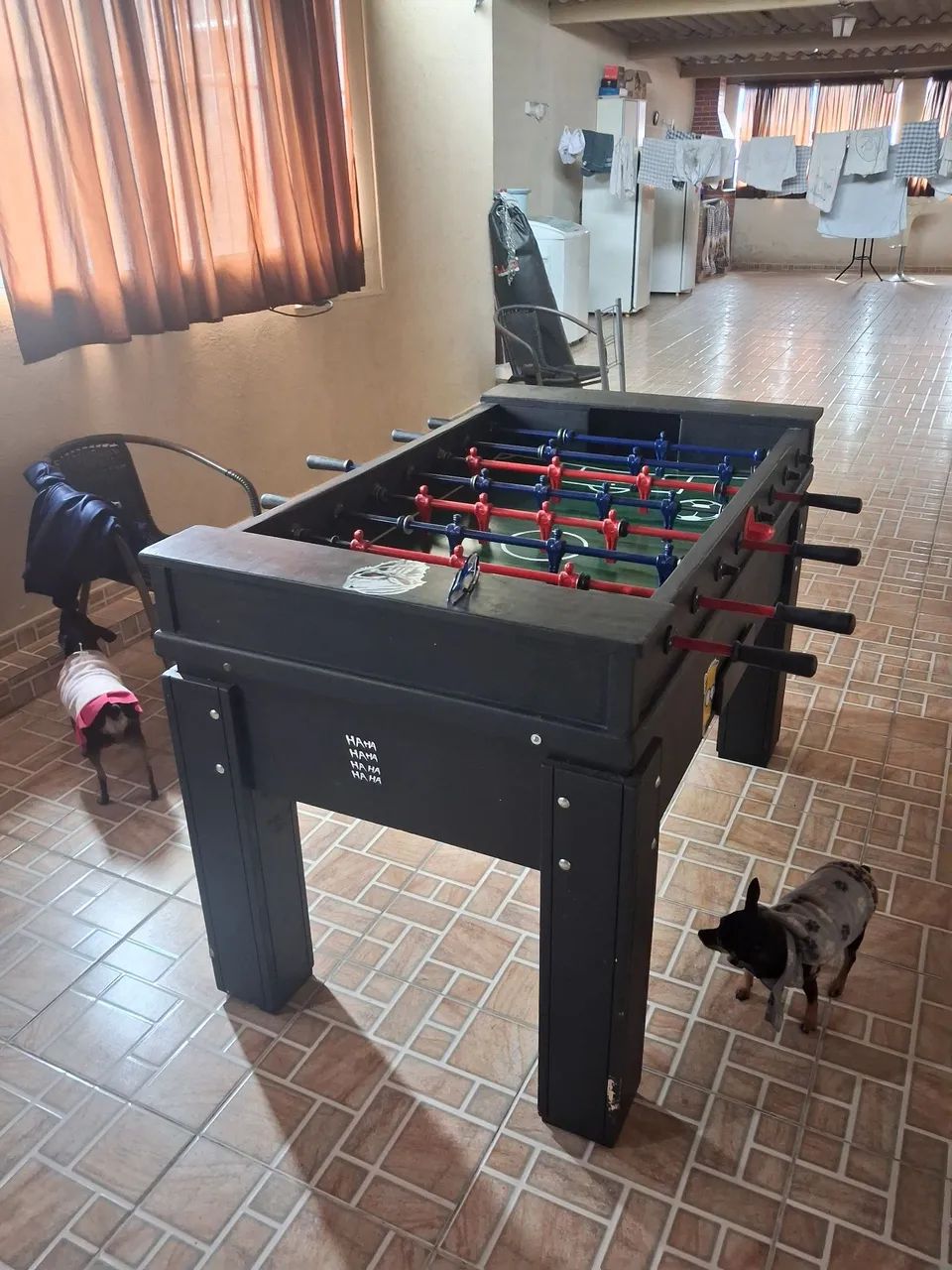Pibolim