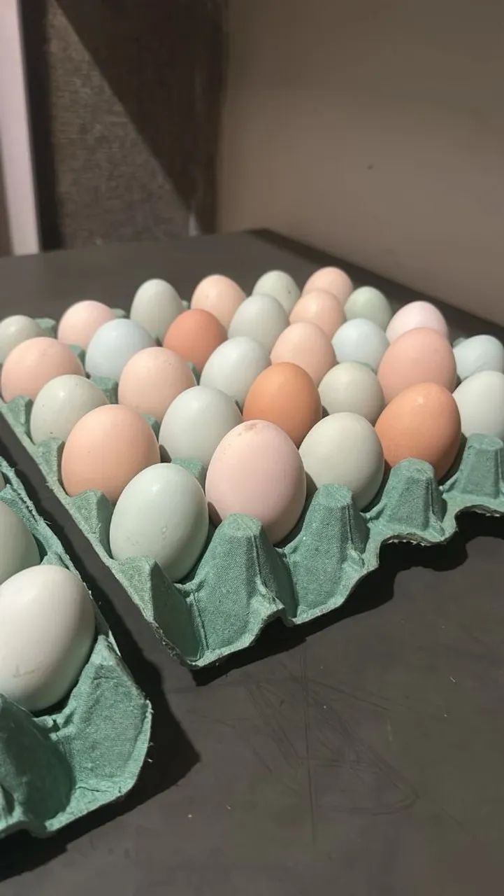 Ovos caipira direto do produtor.