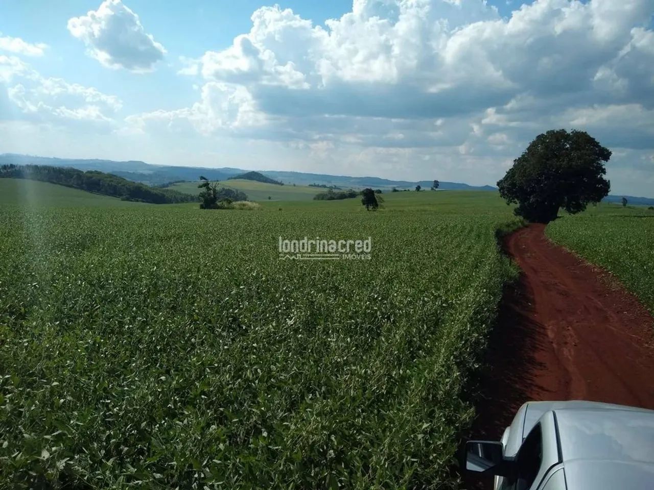 Terreno à venda, RURAL, Assaí, PR - Foto 3