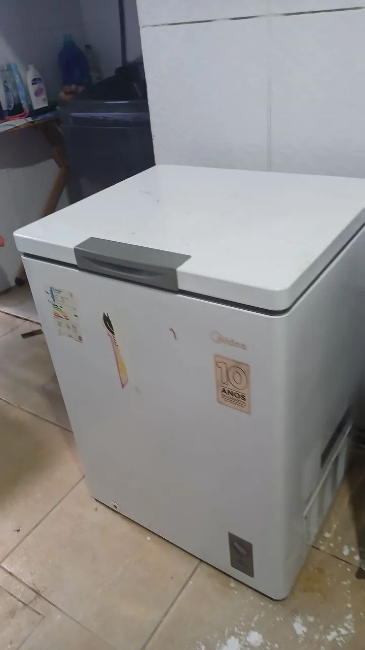 Frezer 110 litros