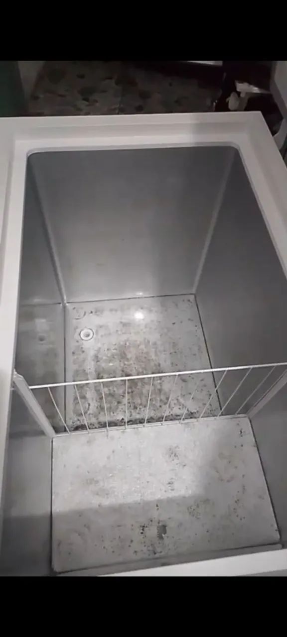 Freezer Electrolux 314 L - Foto 3