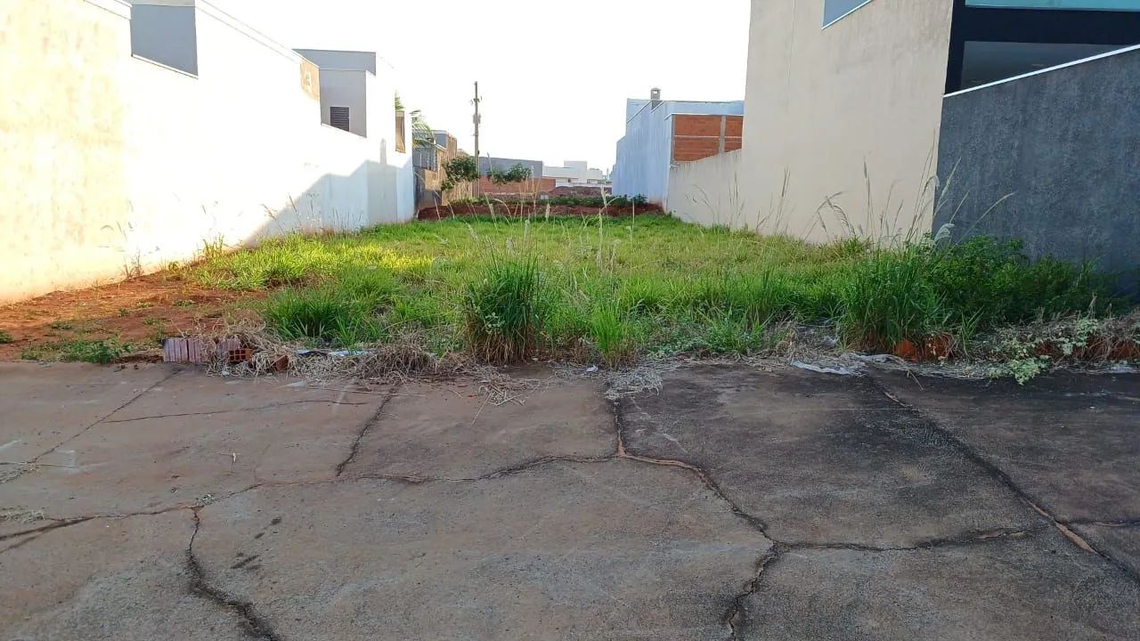 Foto - Santa Fé do Sul - 