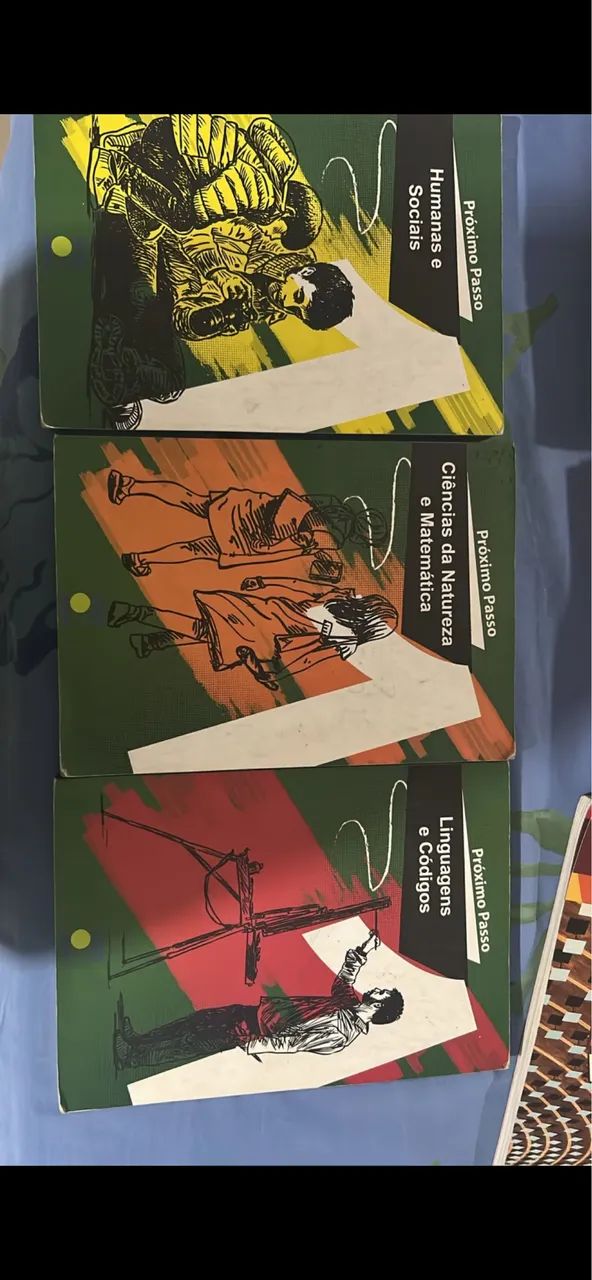 Livros didático do Leonardo da vinca