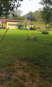 25 Hectares - Oportunidade  !!! - Foto 2