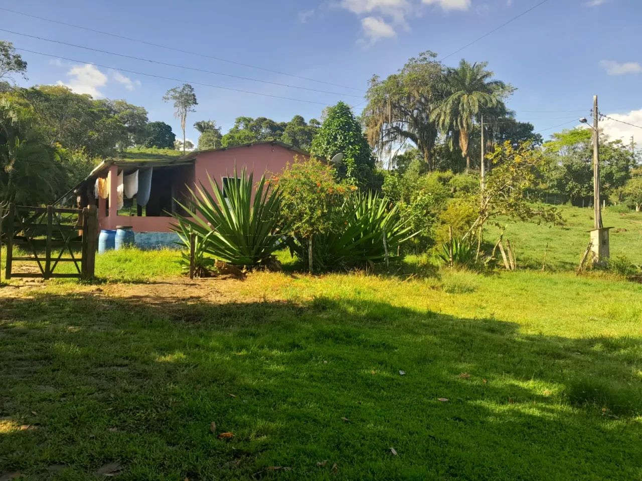 Vendo Fazenda em Itapé - BA