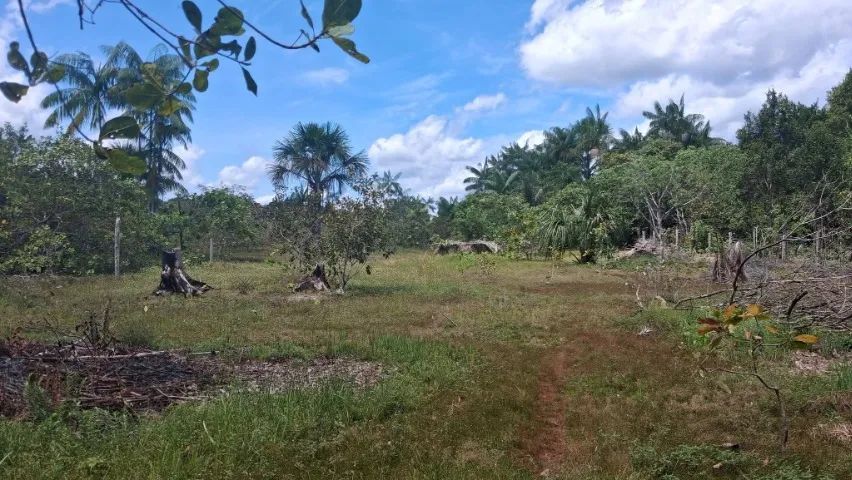 Vende-se terreno comunidade ramal da morena km 13 estrada de Balbina  - Foto 5