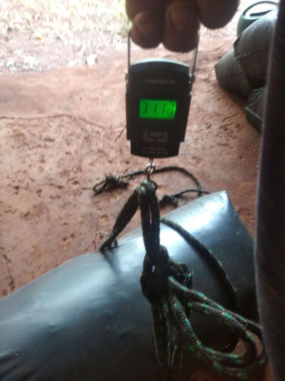 Silagem de milho 30kg - Foto 3